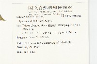 紫花牽牛、美洲牽牛花藏品圖，第2張