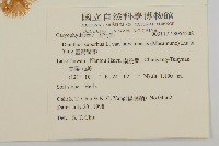 臺灣瞿麥藏品圖，第2張