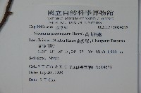 高山莢迷藏品圖，第2張