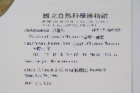 臺灣牛嬭菜藏品圖，第2張