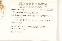 苦滇菜、苦菜藏品圖，第2張