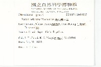能高佛甲草藏品圖，第2張