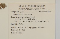 白花鬼針藏品圖，第2張