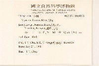 矮菊藏品圖，第2張