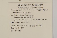 白花鬼針藏品圖，第2張