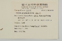 玉山石竹藏品圖，第2張