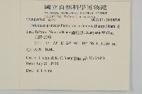 南艾蒿藏品圖，第2張