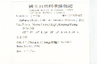 山芥菜藏品圖，第2張