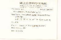 兔仔菜藏品圖，第2張