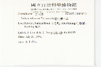 能高佛甲草藏品圖，第2張