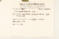 小米菊藏品圖，第2張