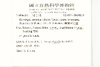 臺灣青莢葉藏品圖，第2張