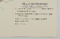 狗筋蔓藏品圖，第2張