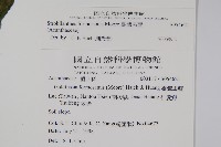 臺灣馬藍藏品圖，第2張