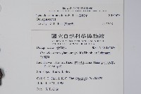 琉璃草藏品圖，第2張