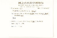 毛蓮菜藏品圖，第2張