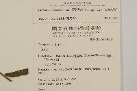 臺灣馬蘭藏品圖，第2張