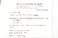 蔓黃菀藏品圖，第2張