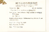 臺灣福王草藏品圖，第2張