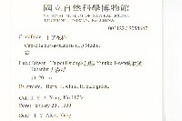 薺藏品圖，第2張