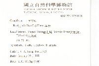 葶藶藏品圖，第2張