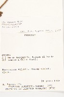 登錄號:S054653藏品圖，第2張