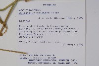登錄號:S054657藏品圖，第2張