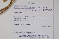 登錄號:S054662藏品圖，第2張