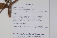 登錄號:S054685藏品圖，第2張