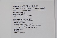 破布烏藏品圖，第2張