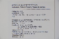 松田氏冬青藏品圖，第2張