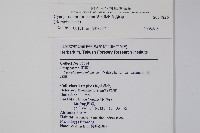 琉璃草藏品圖，第2張