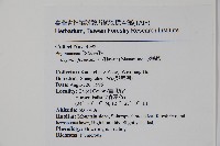 水鴨腳藏品圖，第2張