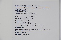 臺灣糊樗藏品圖，第2張