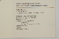 大丁黃藏品圖，第2張