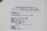 小錦蘭藏品圖，第2張