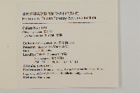 繁縷藏品圖，第2張