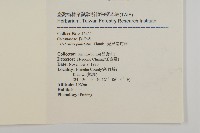 光果南蛇藤藏品圖，第2張