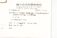 蒼耳、羊帶來藏品圖，第2張