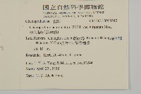 變葉藜、毛綠珠藜藏品圖，第2張