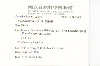 菟絲子藏品圖，第2張