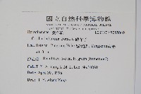 破布子藏品圖，第2張