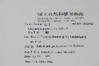 印度牛膝、土牛藤藏品圖，第2張