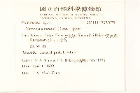 一枝香藏品圖，第2張