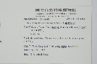 細梗絡石藏品圖，第2張