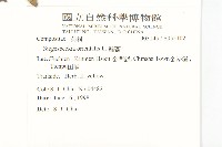 豨薟藏品圖，第2張