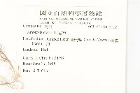 豬草藏品圖，第2張