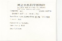 金腰箭藏品圖，第2張