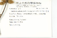 蒼耳藏品圖，第2張