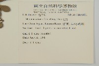 北仲, 刺裸實藏品圖，第2張